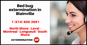 bed-bug-exterminators-in-blainville