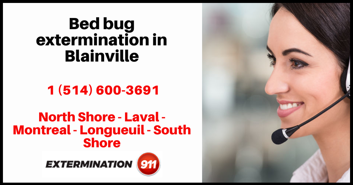 bed-bug-exterminators-in-blainville