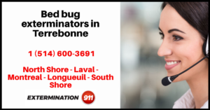 bed-bug-exterminators-in-terrebonne-0001
