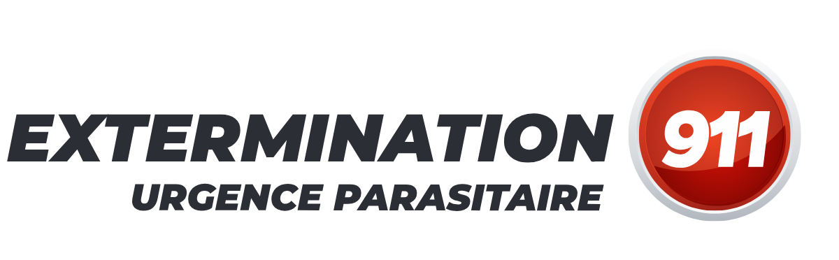 extermination911 urgence parasitaire cropped