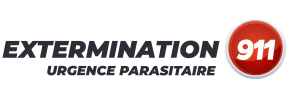 extermination911 urgence parasitaire cropped